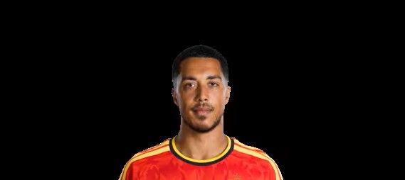 	Youri Tielemans 	